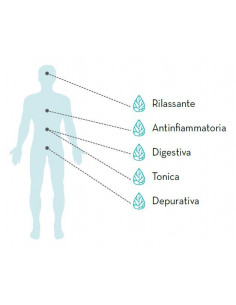 6 cf da 20 Bustine infusione CBD Thera Tisana Canapa Armonia 2