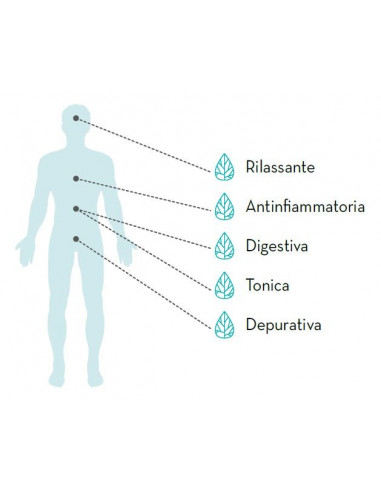 6 cf of 20 infusion sachets CBD Thera Armonia...