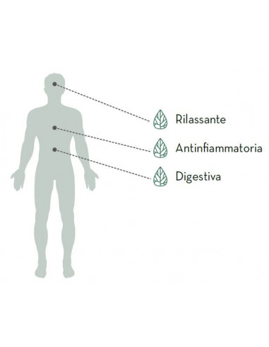 6 cf da 20 Bustine infusione CBD Thera Tisana Canapa Pura
