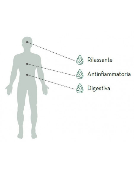 6 cf da 20 Bustine infusione CBD Thera Tisana Canapa Pura