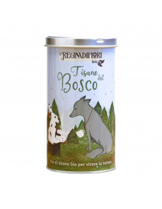Lattina 12 filtri Tisane del Bosco Regina di Fiori