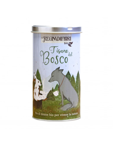 Lattina 12 filtri Tisane del Bosco Regina di Fiori