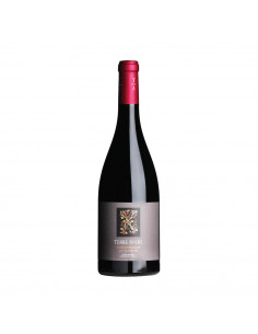 Bottiglia 0,75lt Susumaniello IGT Salento Rosso "Terre...