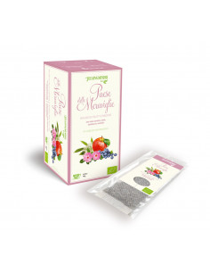Tisana Bio Paese delle Meraviglie 6x15 Filtri