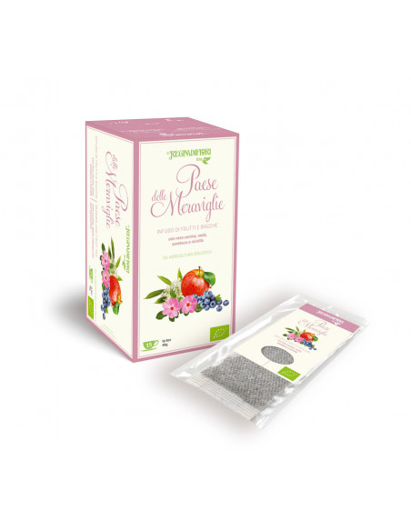 Tisana Bio Paese delle Meraviglie 6x15 Filtri