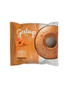 Ciambella Galup - Albicocca 400g