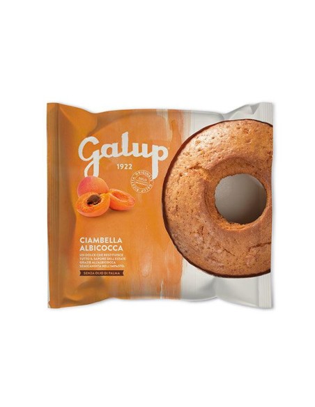 Ciambella Galup - Albicocca 400g